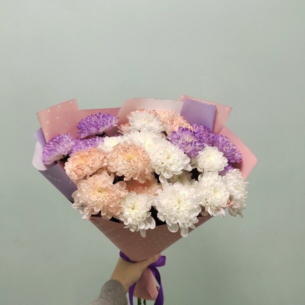 Разноцветные хризантемы, артикул F1403867 - 4659 рублей, доставка по городу. Flawery - доставка цветов