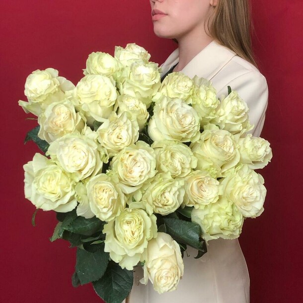 Шикарные белые эквадорские розы, 25шт, артикул F1151914 - 10800 рублей, доставка по городу. Flawery - доставка цветов