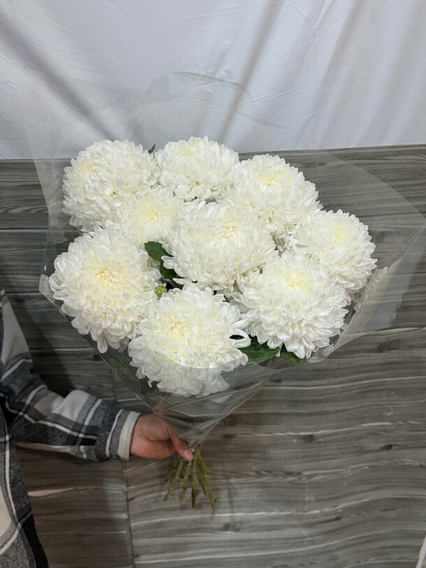 Хризантема одноголовая, артикул F1489953 - 8758 рублей, доставка по городу. Flawery - доставка цветов