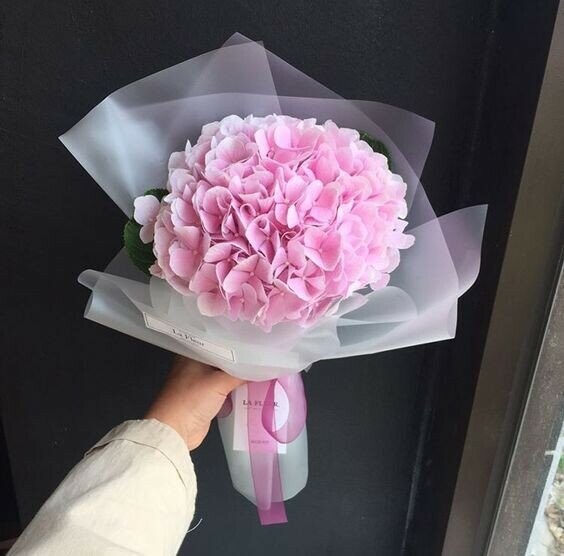 Букет-комплимент из гортензии, артикул F1164798 - 2500 рублей, доставка по городу. Flawery - доставка цветов