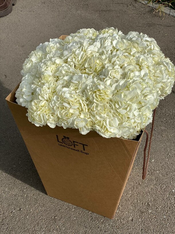 Воздушный шар из гортензий, артикул F1472494 - 19300 рублей, доставка по городу. Flawery - доставка цветов