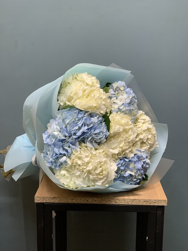 Гортензия 7шт, артикул F1480154 - 5532 рублей, доставка по городу. Flawery - доставка цветов