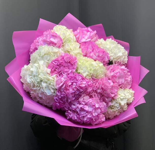Гортензия 15шт, артикул F1492889 - 11654 рублей, доставка по городу. Flawery - доставка цветов