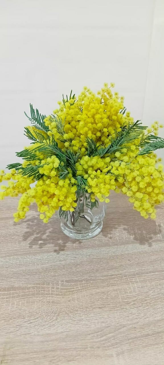 Мимоза в вазе, артикул F1522503 - 5300 рублей, доставка по городу. Flawery - доставка цветов