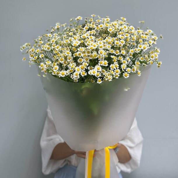 Ромашка для любимой, артикул F1478490 - 4672 рублей, доставка по городу. Flawery - доставка цветов