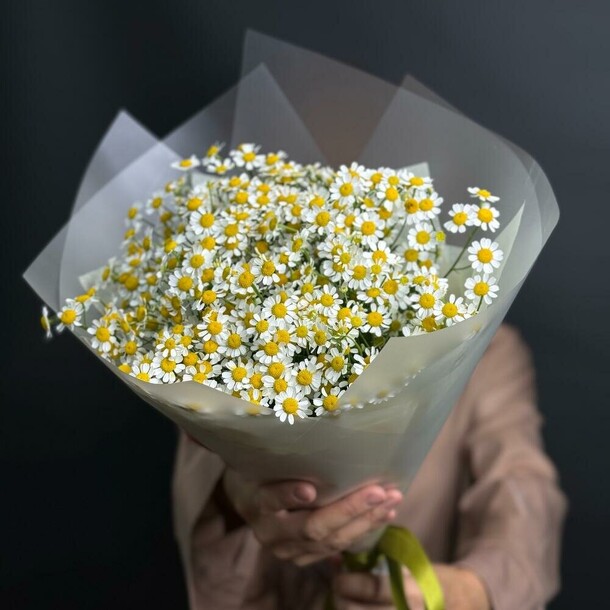 Ромашки (матрикария), артикул F1479937 - 5981 рублей, доставка по городу. Flawery - доставка цветов