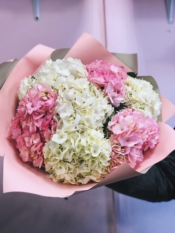 7 крупных гортензий, артикул F1127932 - 7200 рублей, доставка по городу. Flawery - доставка цветов