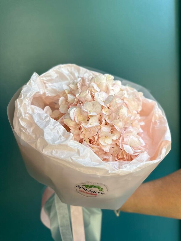 Гортензия розовая, артикул F1138138 - 1250 рублей, доставка по городу. Flawery - доставка цветов