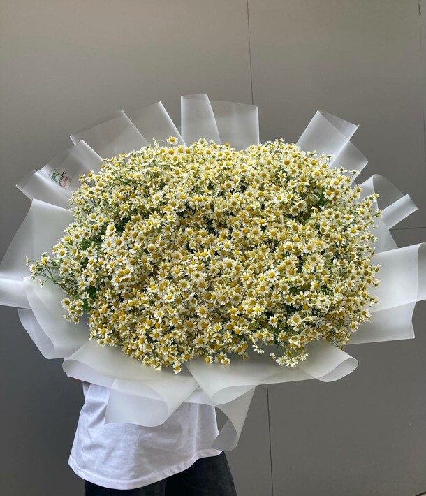 Xxl букет полевых ромашек, артикул F1419056 - 18900 рублей, доставка по городу. Flawery - доставка цветов