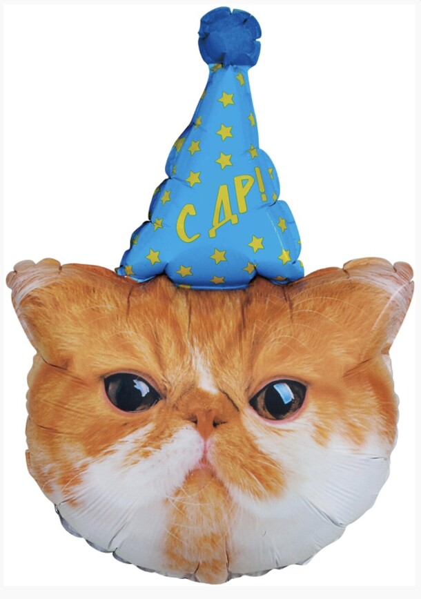 Кот в колпаке с др, артикул F1370701 - 1700 рублей, доставка по городу. Flawery - доставка цветов