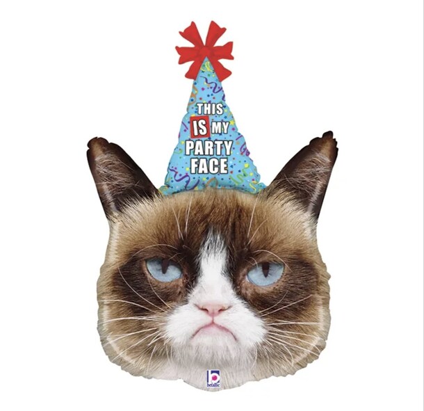 Воздушный шар , кот в колпаке, артикул F1371543 - 1700 рублей, доставка по городу. Flawery - доставка цветов