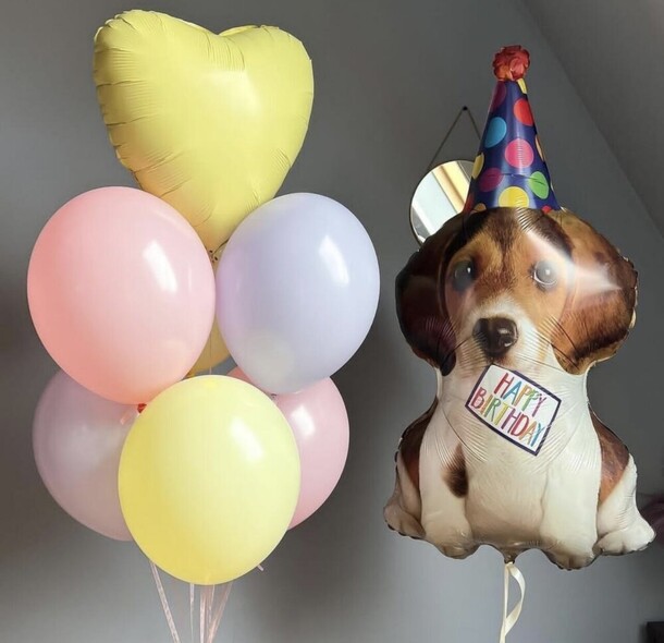 Щенок  в колпаке и фонтан, артикул F1388055 - 4400 рублей, доставка по городу. Flawery - доставка цветов