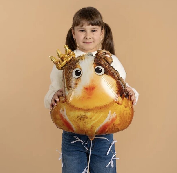 Воздушный шар, хомяк, артикул F1399336 - 1500 рублей, доставка по городу. Flawery - доставка цветов