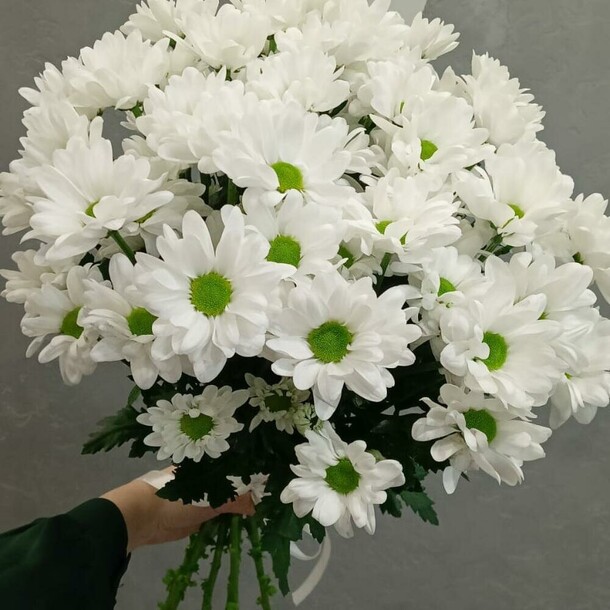 Букет из 9 хризантем, артикул F1481025 - 4500 рублей, доставка по городу. Flawery - доставка цветов