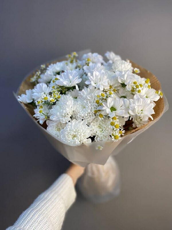 Ромашникус, артикул F1364355 - 4500 рублей, доставка по городу. Flawery - доставка цветов