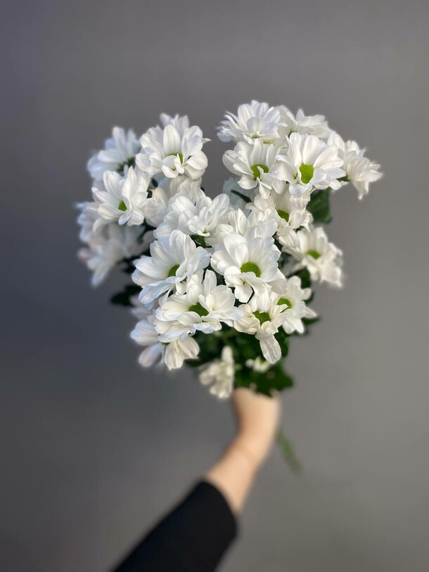 3 хризантемы, артикул F1365365 - 1750 рублей, доставка по городу. Flawery - доставка цветов