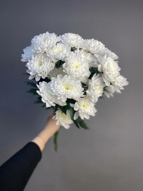 Хризантема кустовая  под ленту, артикул F1365368 - 1750 рублей, доставка по городу. Flawery - доставка цветов