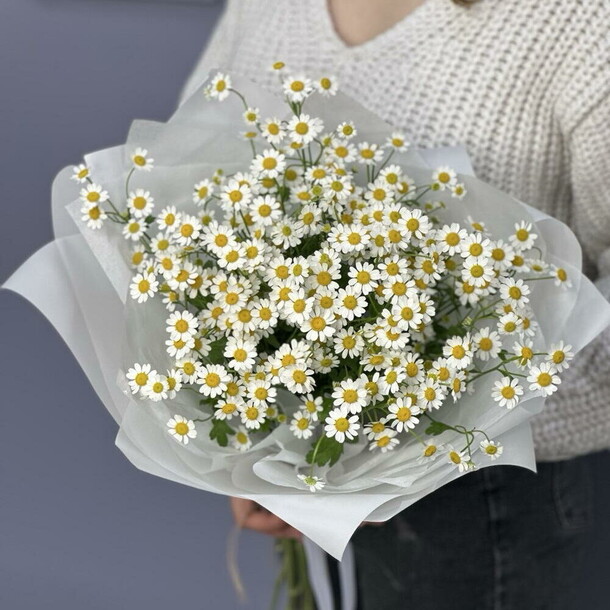 Ромашка, артикул F1503519 - 2500 рублей, доставка по городу. Flawery - доставка цветов