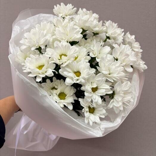 Букет хризантемы, артикул F1483353 - 3064 рублей, доставка по городу. Flawery - доставка цветов