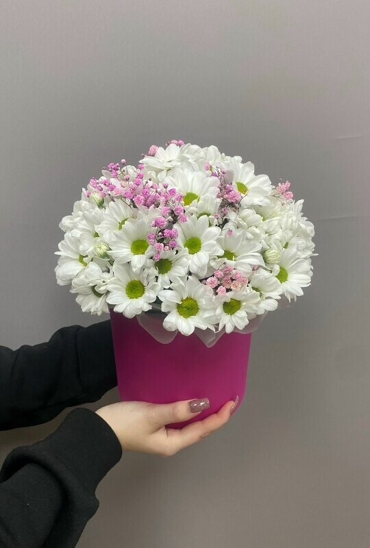 Ромашка в коробке, артикул F1505658 - 2750 рублей, доставка по городу. Flawery - доставка цветов