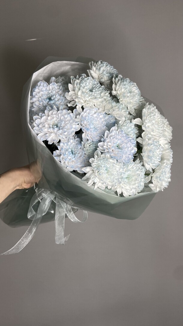 Кустовая хризантема 🩵, артикул F1491523 - 3873 рублей, доставка по городу. Flawery - доставка цветов