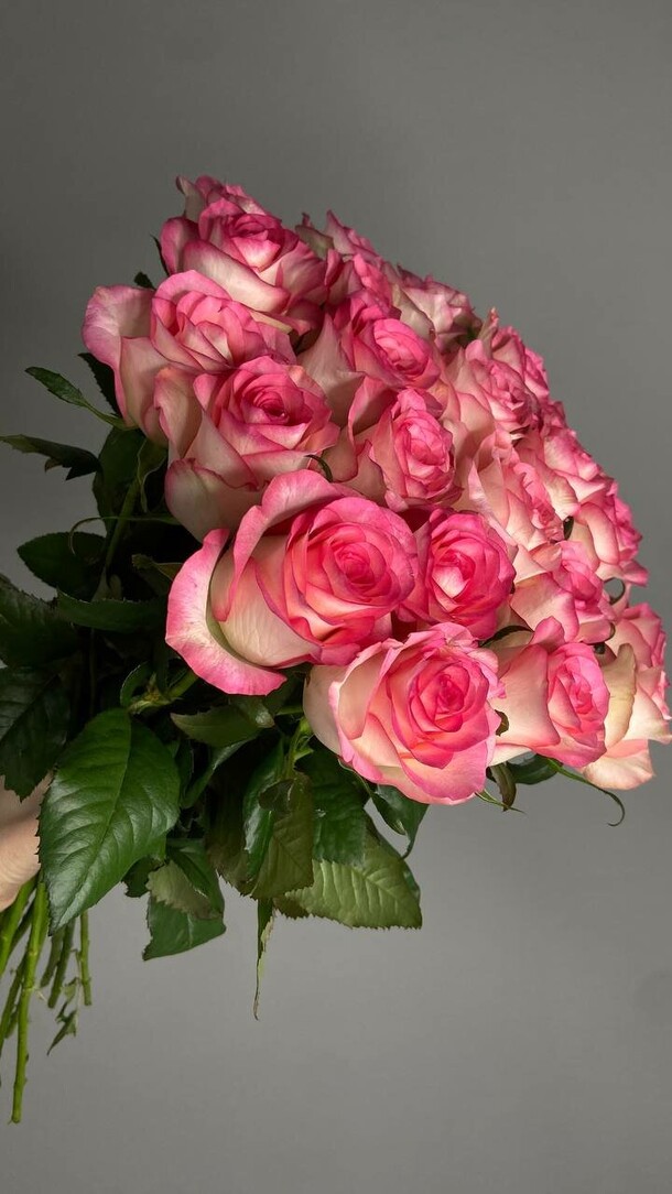 25 роз джумилия☺️, артикул F1491527 - 9680 рублей, доставка по городу. Flawery - доставка цветов