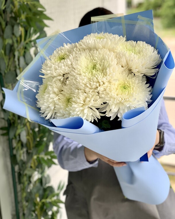 Шикарный моно букет из хризантемы, артикул F1464822 - 6736 рублей, доставка по городу. Flawery - доставка цветов