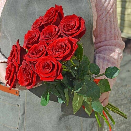 Букет с праздником хит из 11 роз 90 см, артикул F1138609 - 10426 рублей, доставка по городу. Flawery - доставка цветов