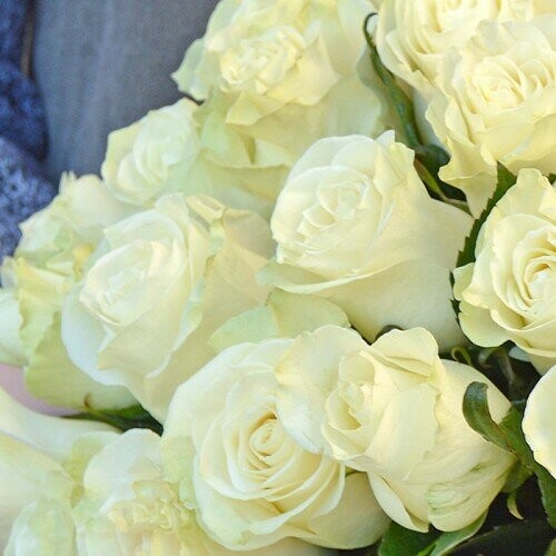 Букет из 15 белых роз 70, артикул F1138633 - 9939 рублей, доставка по городу. Flawery - доставка цветов