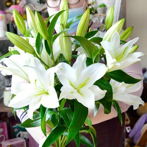 Букет из лилий, артикул F1138982 - 7989 рублей, доставка по городу. Flawery - доставка цветов