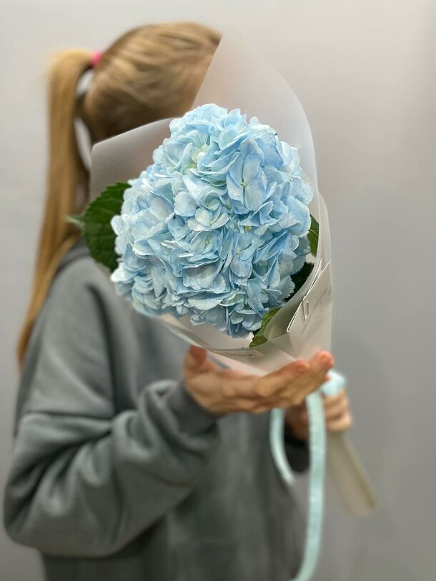 Голубая гортензия в оформлении, артикул F1450428 - 1600 рублей, доставка по городу. Flawery - доставка цветов