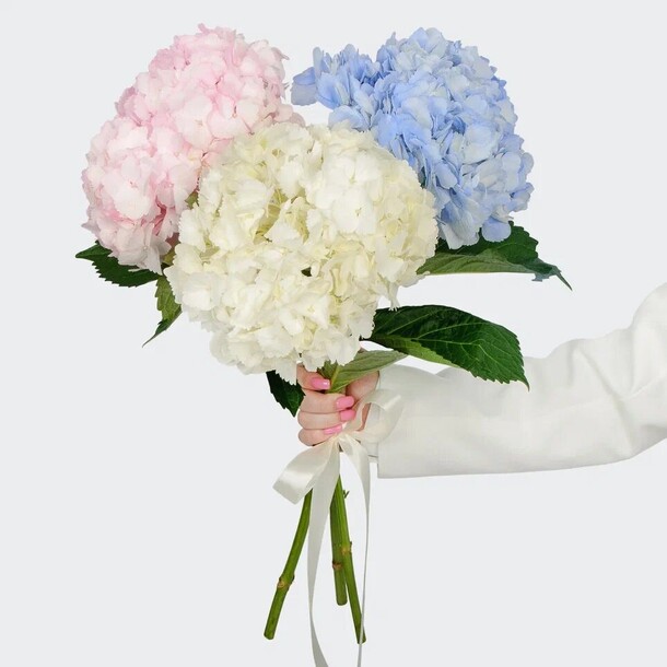 Букет 3 гортензии цветочные облака, артикул F1428057 - 4690 рублей, доставка по городу. Flawery - доставка цветов