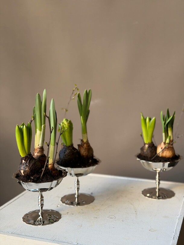 Гиацинты и нарциссы, артикул F1533486 - 4500 рублей, доставка по городу. Flawery - доставка цветов