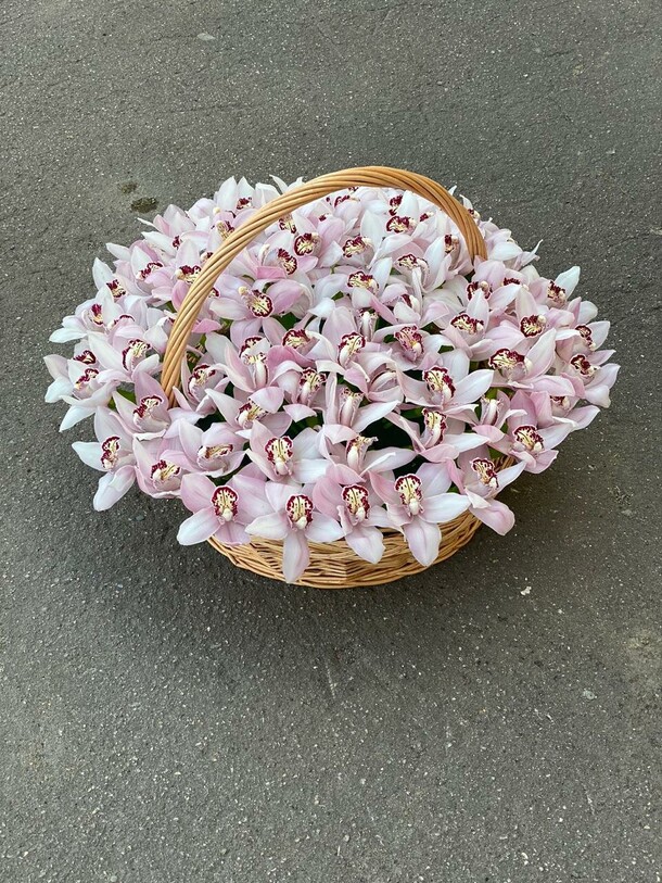 101 орхидея в корзине, артикул F1066970 - 43922 рублей, доставка по городу. Flawery - доставка цветов