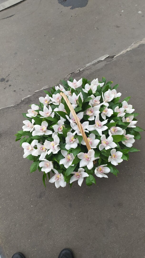 Корзина из белой орхидеи, артикул F1078320 - 32152 рублей, доставка по городу. Flawery - доставка цветов