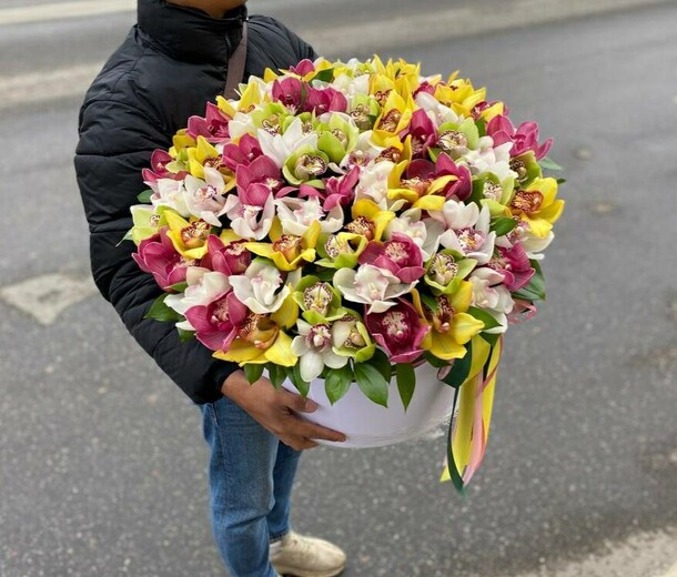 Разноцветная орхидея в коробке, артикул F1078616 - 48279 рублей, доставка по городу. Flawery - доставка цветов