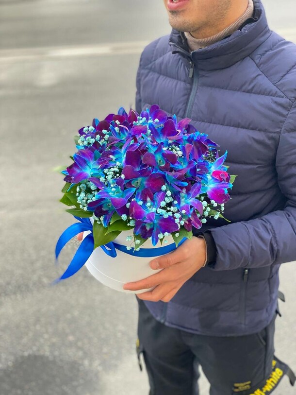 Синий дендробиум в коробке, артикул F1081285 - 6500 рублей, доставка по городу. Flawery - доставка цветов