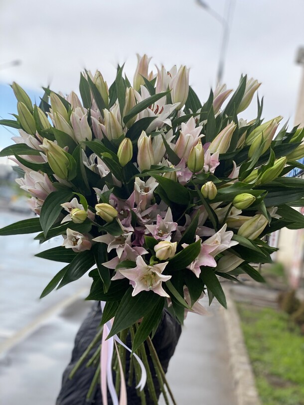 19 нежно-розовые лилий, артикул F1115199 - 29229 рублей, доставка по городу. Flawery - доставка цветов