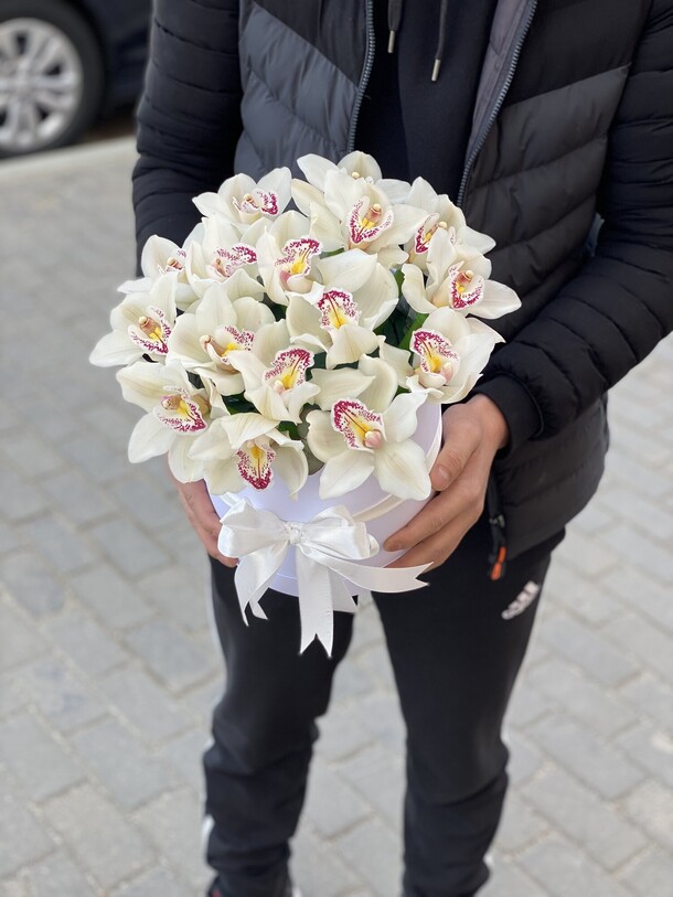 Орхидея в коробке, артикул F1117647 - 9559 рублей, доставка по городу. Flawery - доставка цветов