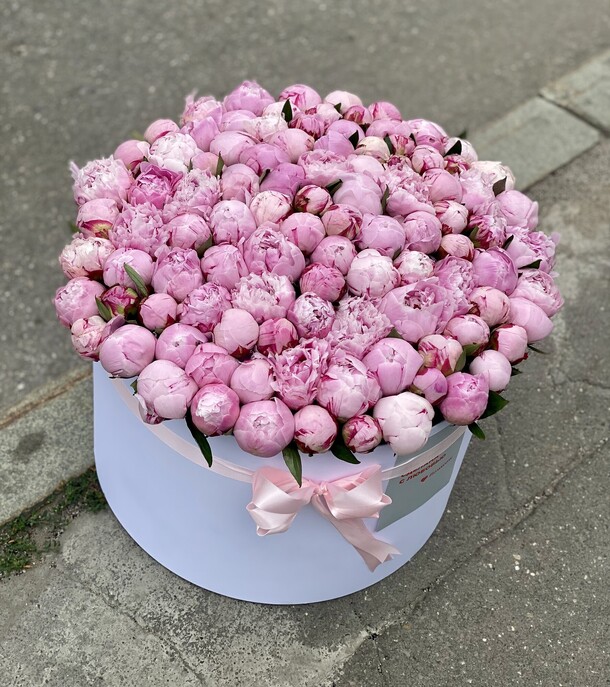 101 пион в коробке, артикул F1129466 - 146155 рублей, доставка по городу. Flawery - доставка цветов