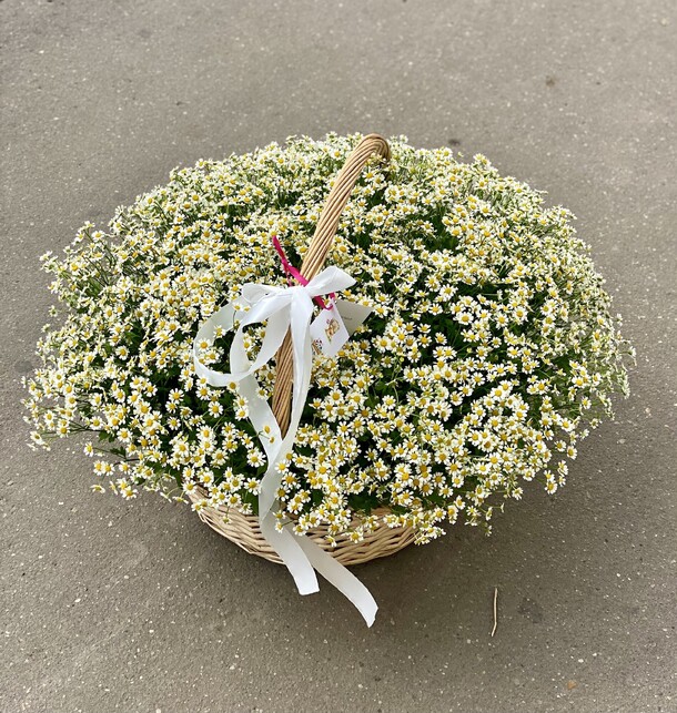 Ромашки в корзине, артикул F1129910 - 42794 рублей, доставка по городу. Flawery - доставка цветов