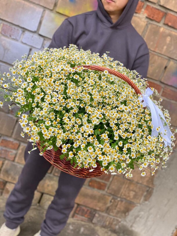 101 ромашка в корзине, артикул F1153669 - 35000 рублей, доставка по городу. Flawery - доставка цветов