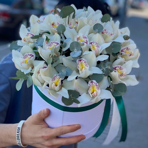 Белые орхидеи цимбидиум в коробке, артикул F1215737 - 10527 рублей, доставка по городу. Flawery - доставка цветов