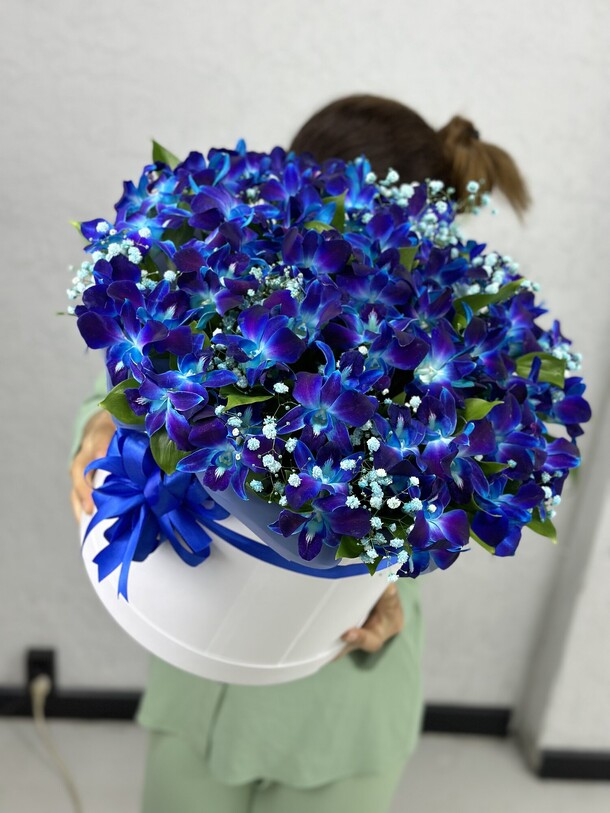 Синий дендробиум в шляпной коробке, артикул F1348878 - 15971 рублей, доставка по городу. Flawery - доставка цветов