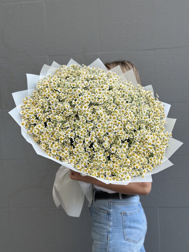 Огромный букет из 101 ромашки, артикул F1349004 - 35090 рублей, доставка по городу. Flawery - доставка цветов