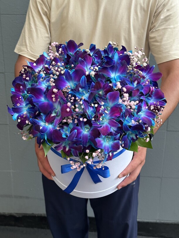 Синие орхидеи с гипсофилой, артикул F1354423 - 14334 рублей, доставка по городу. Flawery - доставка цветов