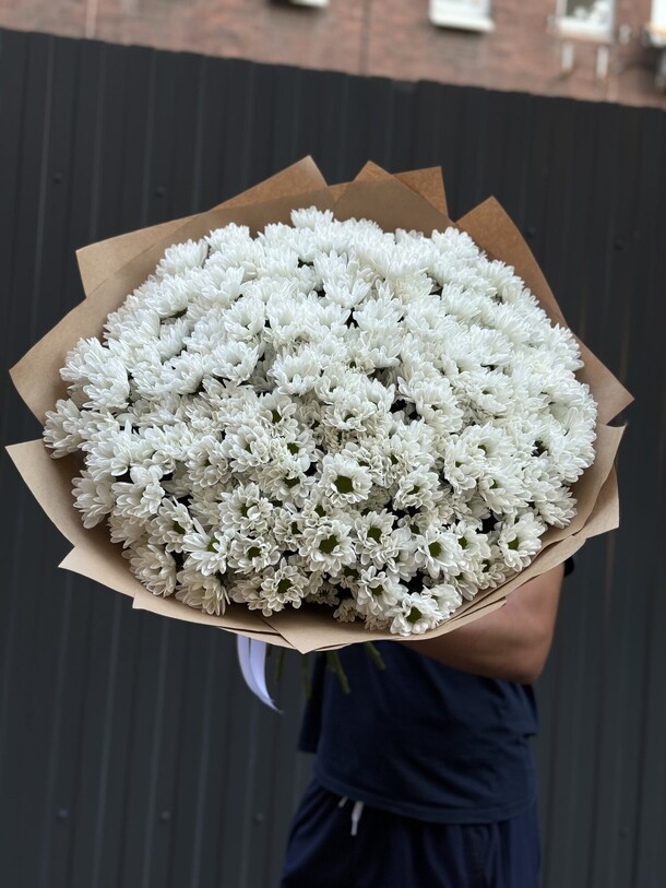 Кустовая хризантема белая, артикул F1355486 - 16335 рублей, доставка по городу. Flawery - доставка цветов