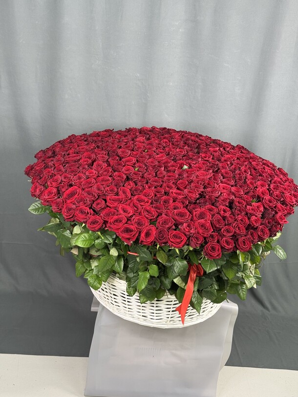 501 красная роза в корзине, артикул F1383975 - 272176 рублей, доставка по городу. Flawery - доставка цветов