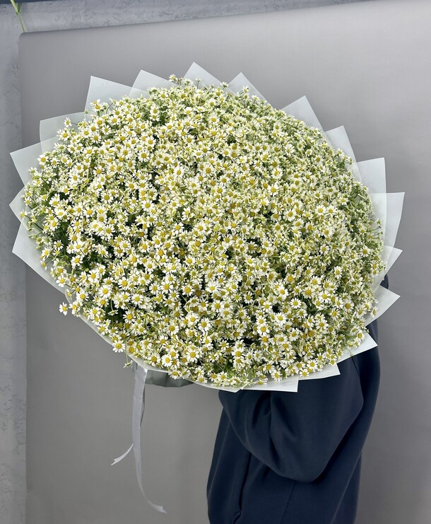 101 полевая ромашка, артикул F1399076 - 28919 рублей, доставка по городу. Flawery - доставка цветов