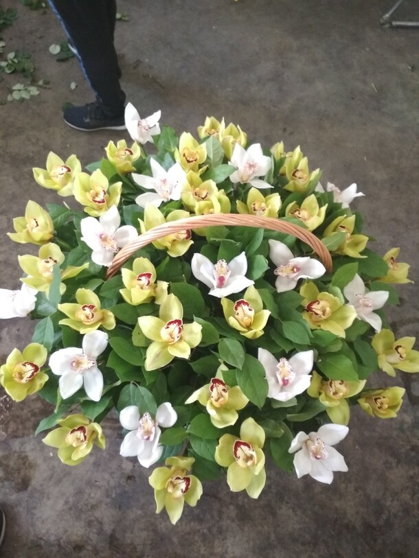 Корзина из орхидей цимбидиум, артикул F32833 - 35430 рублей, доставка по городу. Flawery - доставка цветов